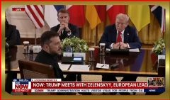 2025-08-18 at 8.17.04.jpeg